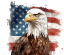 Icon eagle